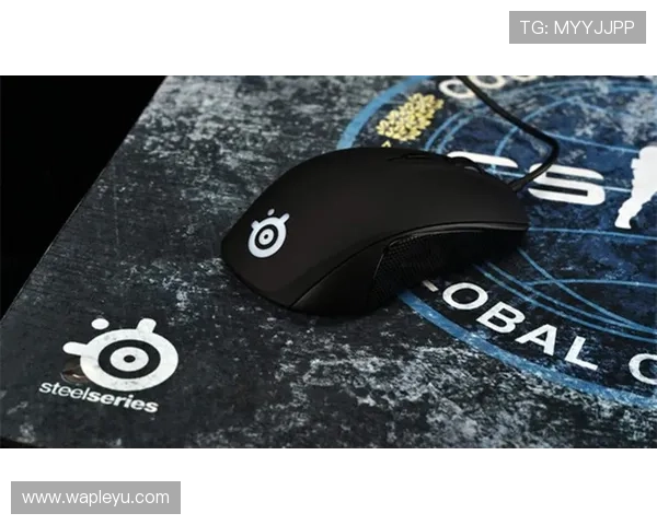 leyucom官网登录入口地址最新官方入口提供详细指南帮助玩家顺利登录游戏